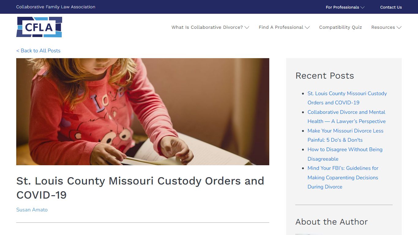 St. Louis County Missouri Custody Orders and COVID-19